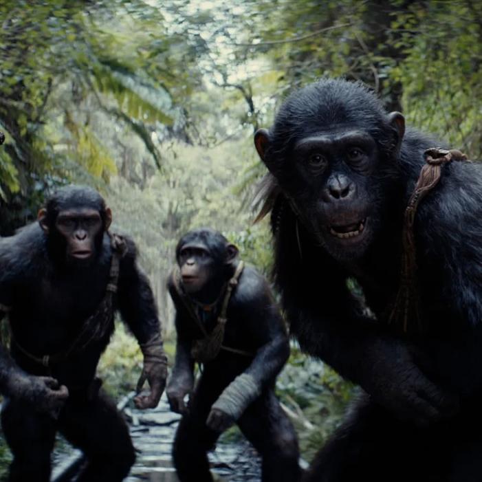 apeskingdom.jpeg