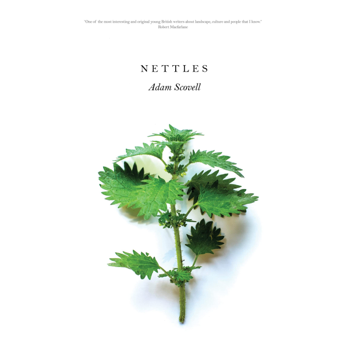 nettles.jpg